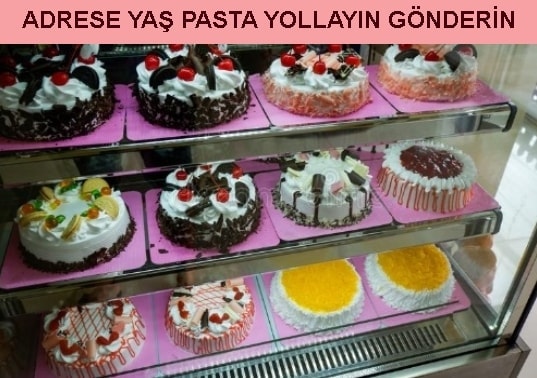 Yalova Pasta siparii ucuz Adrese ya pasta yolla gnder