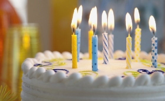 Yalova yaş pasta doğum günü pastası satışı